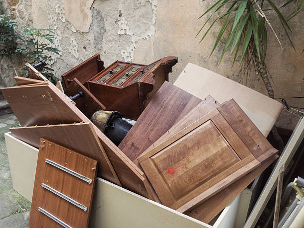 Yard Cleanup Services in Underwood Petersville, AL